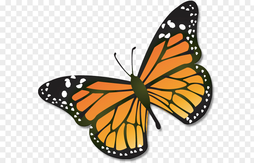 Cartoon Monarch Butterfly Insect Clip Art PNG