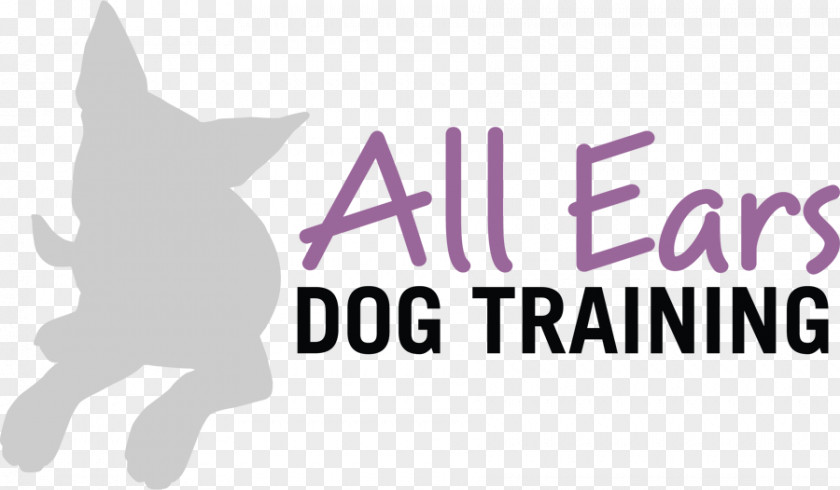 Dog All Ears & Puppy Training Elizabethan Collar PNG