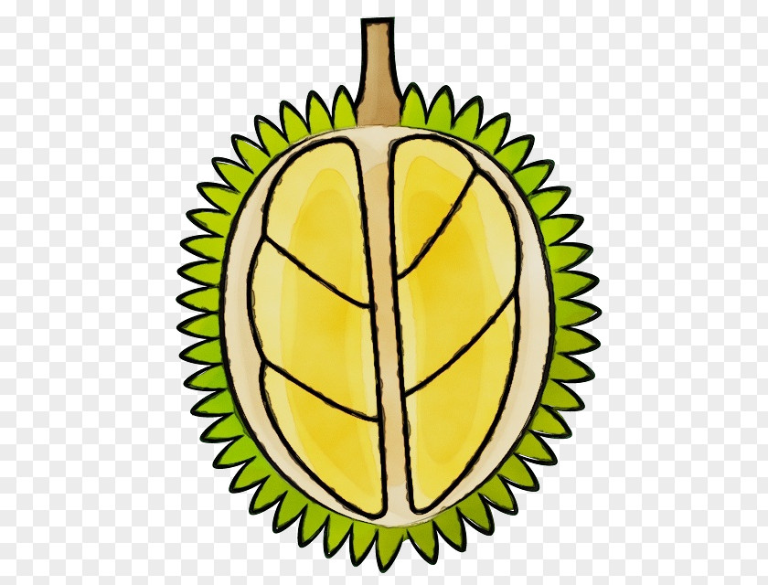 Plant Leaf Durian Yellow Fruit PNG