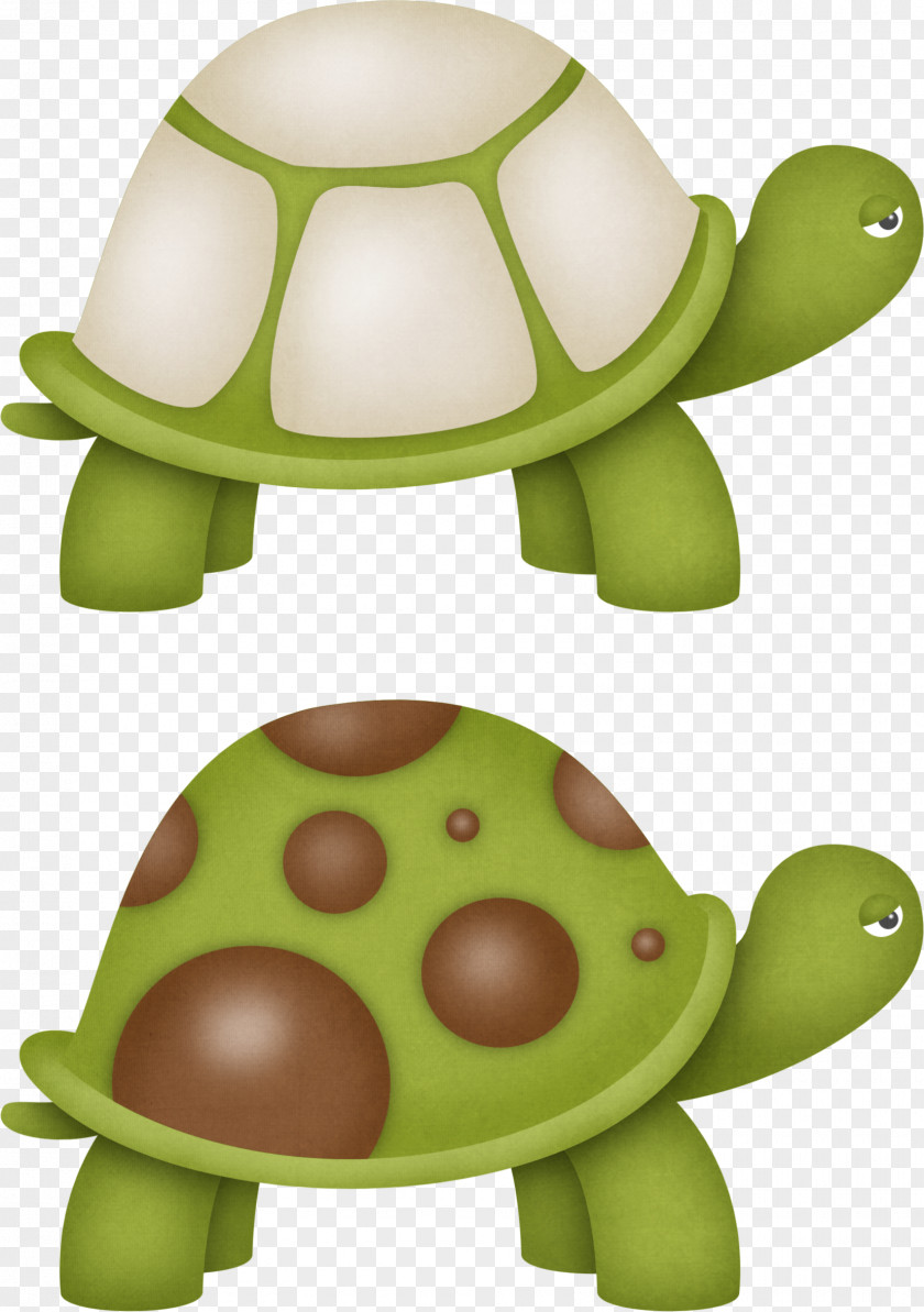 Cartoon Turtle Image Sea Tortoise Clip Art PNG