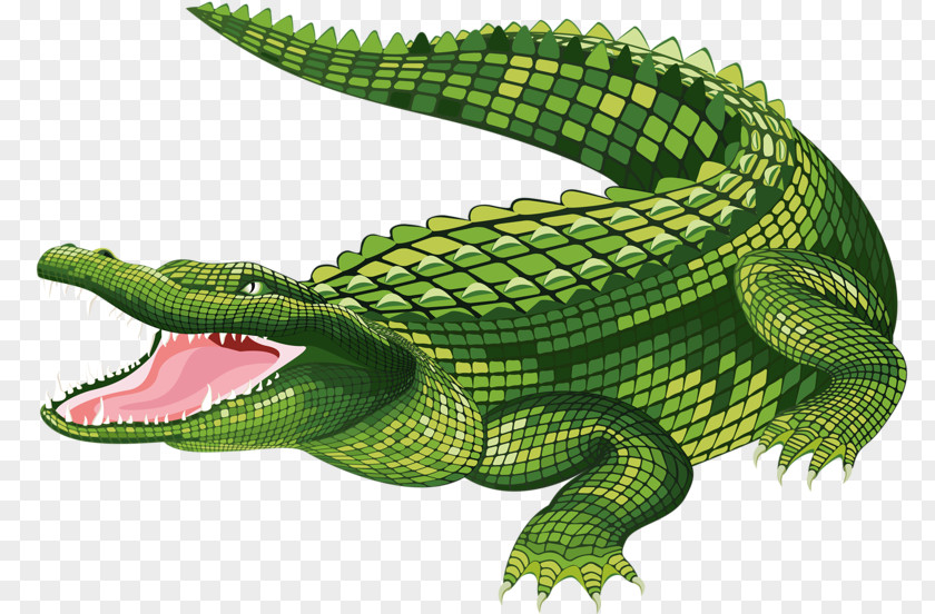 Crocodile Mouth Vector The Alligator Clip Art PNG