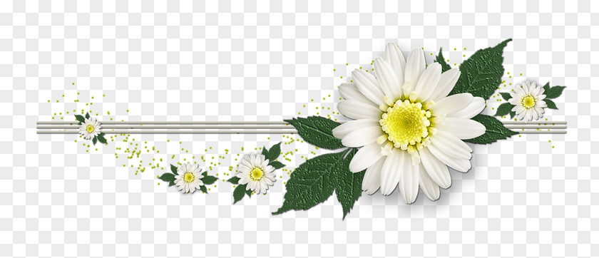 Flower PNG