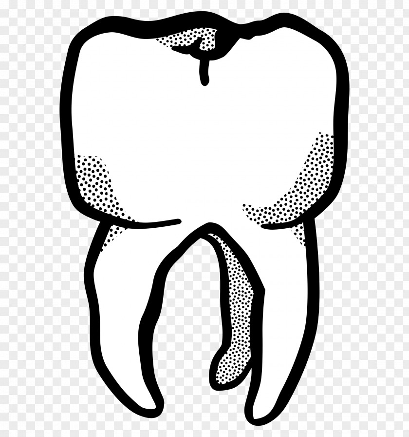 Tooth Line Art Dentistry Drawing PNG