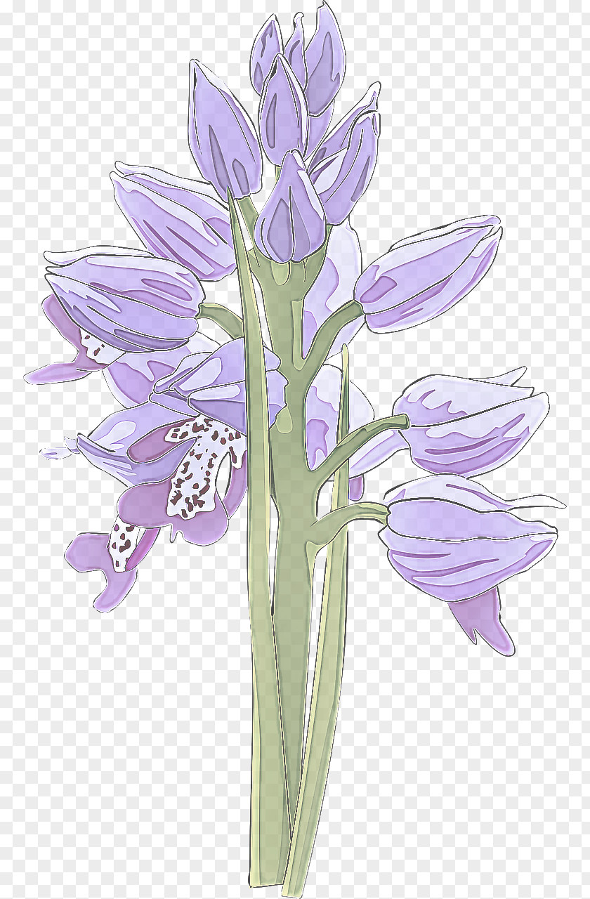 Cut Flowers Clusterlilies Lavender PNG