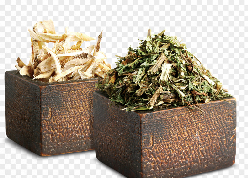 Herbs Traditional Chinese Medicine Herbology PNG