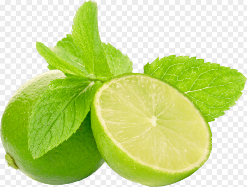 Lime Key Pie PNG