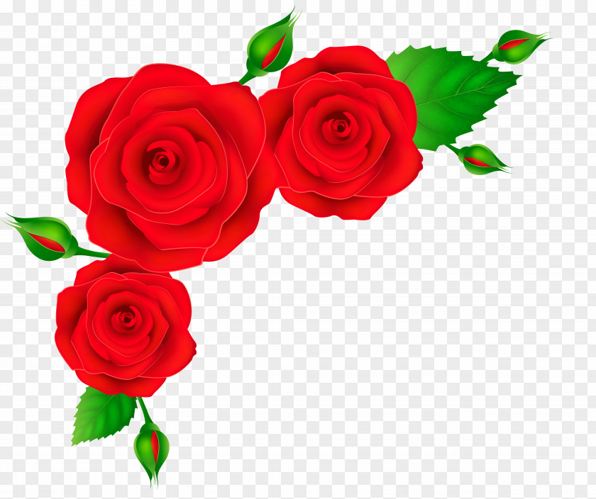 Rose Corner Cliparts Flower Red Clip Art PNG