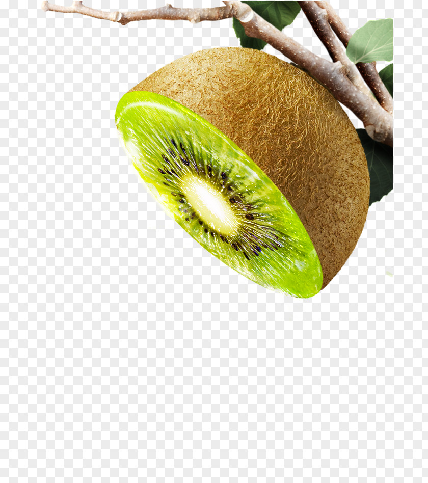 Kiwifruit Close-up PNG