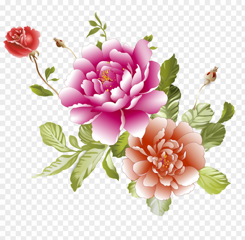 Peony Centifolia Roses Floral Design Cut Flowers Artificial Flower PNG