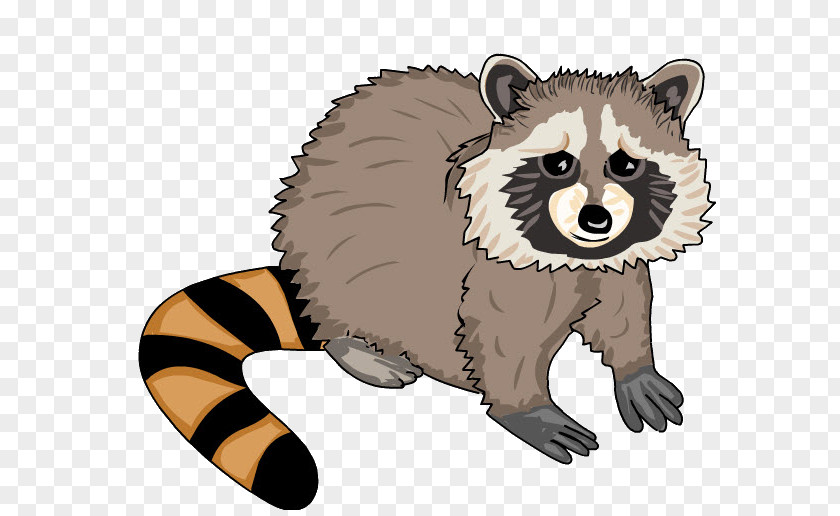 Raccoon Painting Whiskers Technology Education Animal PNG