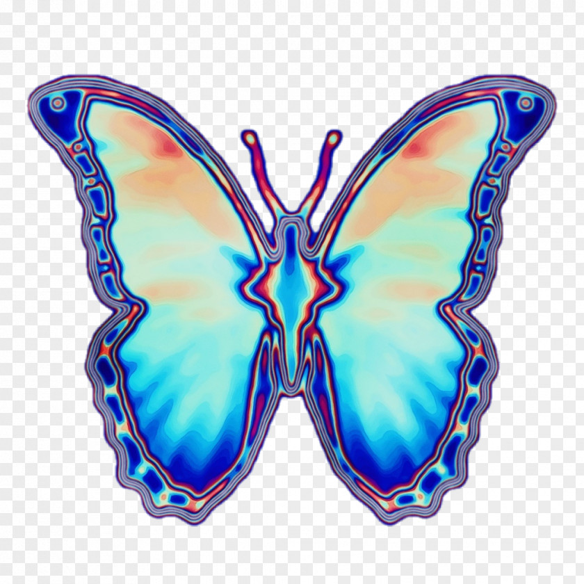 Brushfooted Butterfly Wing Picsart Background PNG