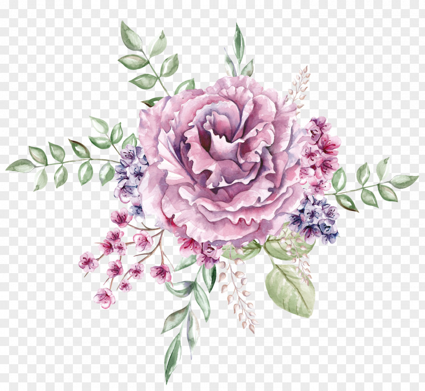 Cut Flowers Rose Family PNG