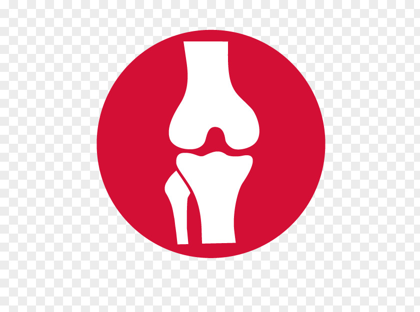 Knee Joint Toe Clip Art PNG