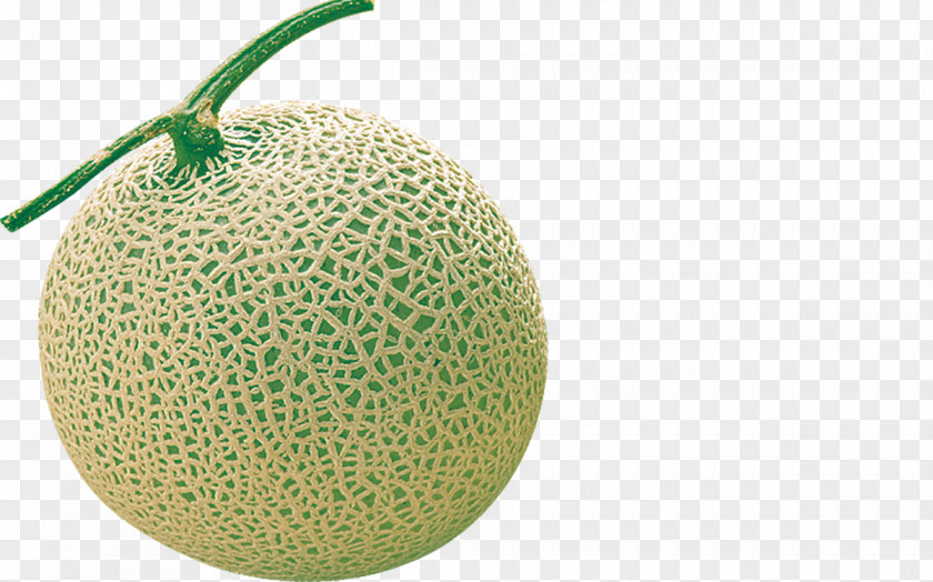 Papaya Cantaloupe Download Green PNG