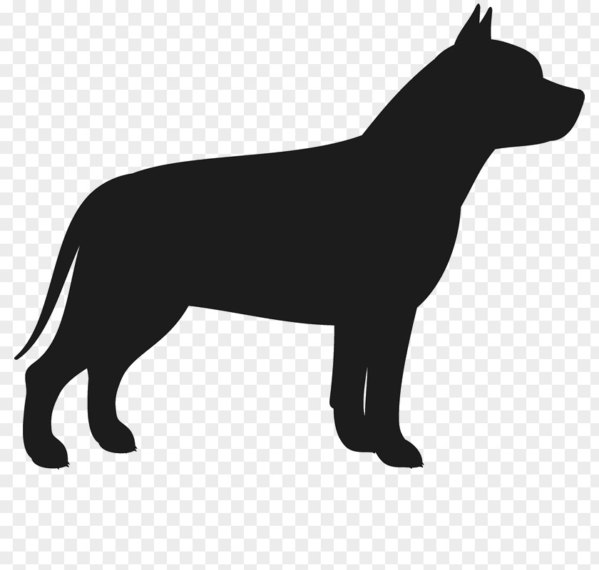 Pitbull French Bulldog American Yorkshire Terrier Boston PNG