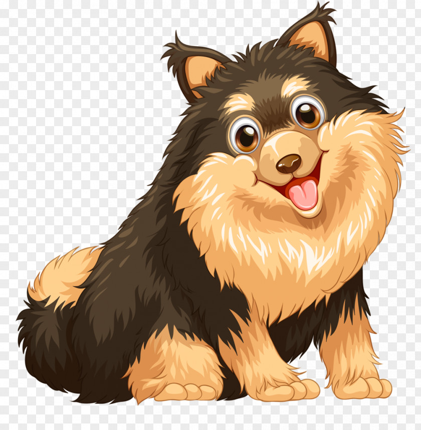 Puppy Pomeranian Royalty-free PNG