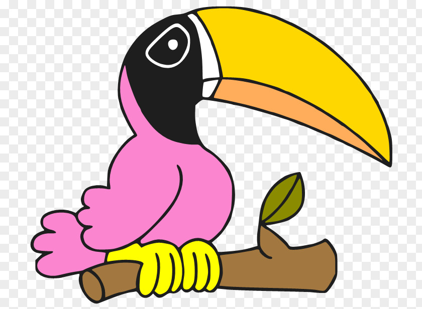 Toucan Bird Piciformes Beak Google+ PNG