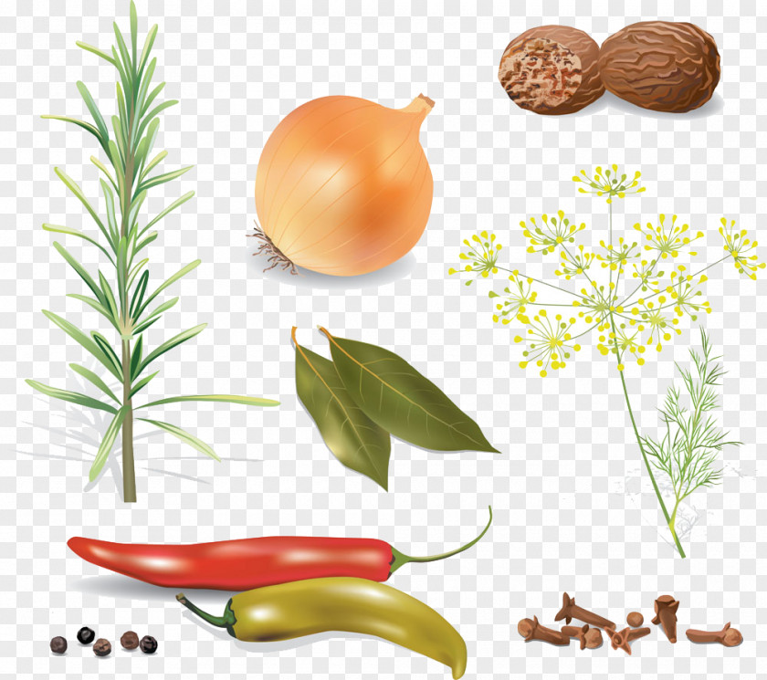 A Variety Of Vegetables Spice Herb Food PNG