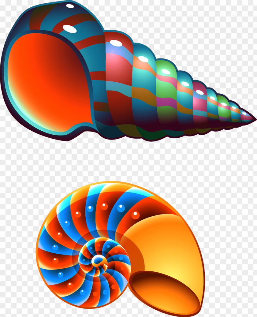 Colorful Conch Seashell Mollusc Shell Clip Art PNG