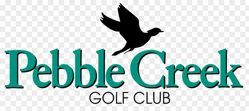 Idyllic Wind Pebble Beach Golf Links Course Tees PNG