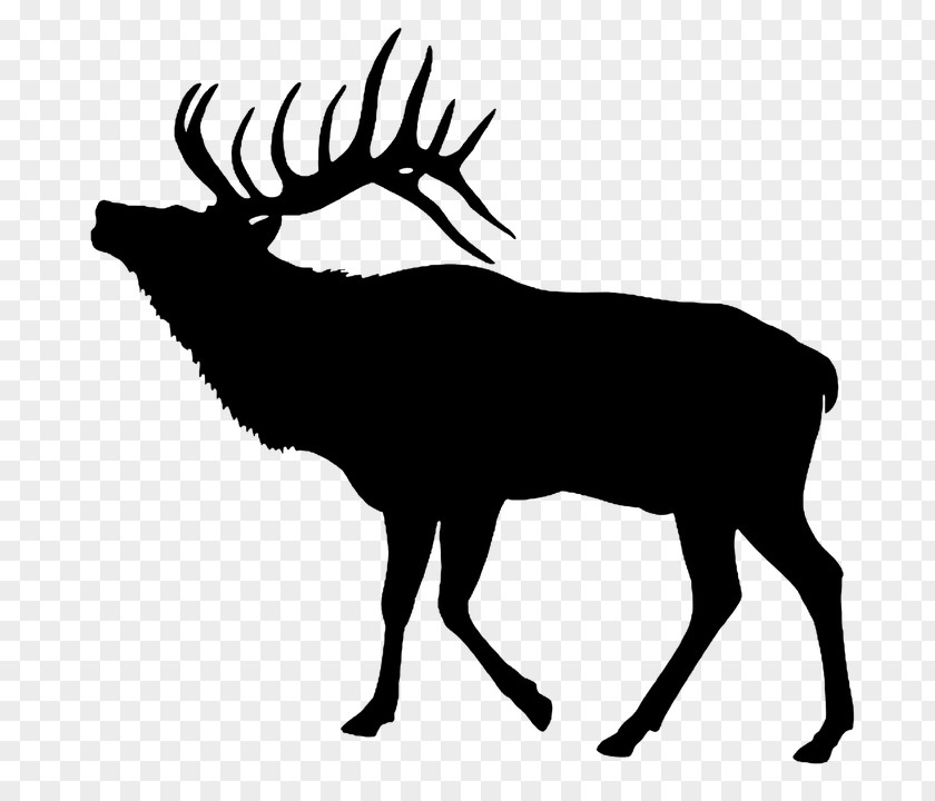 Vector Forest Animals Elk Deer Clip Art PNG