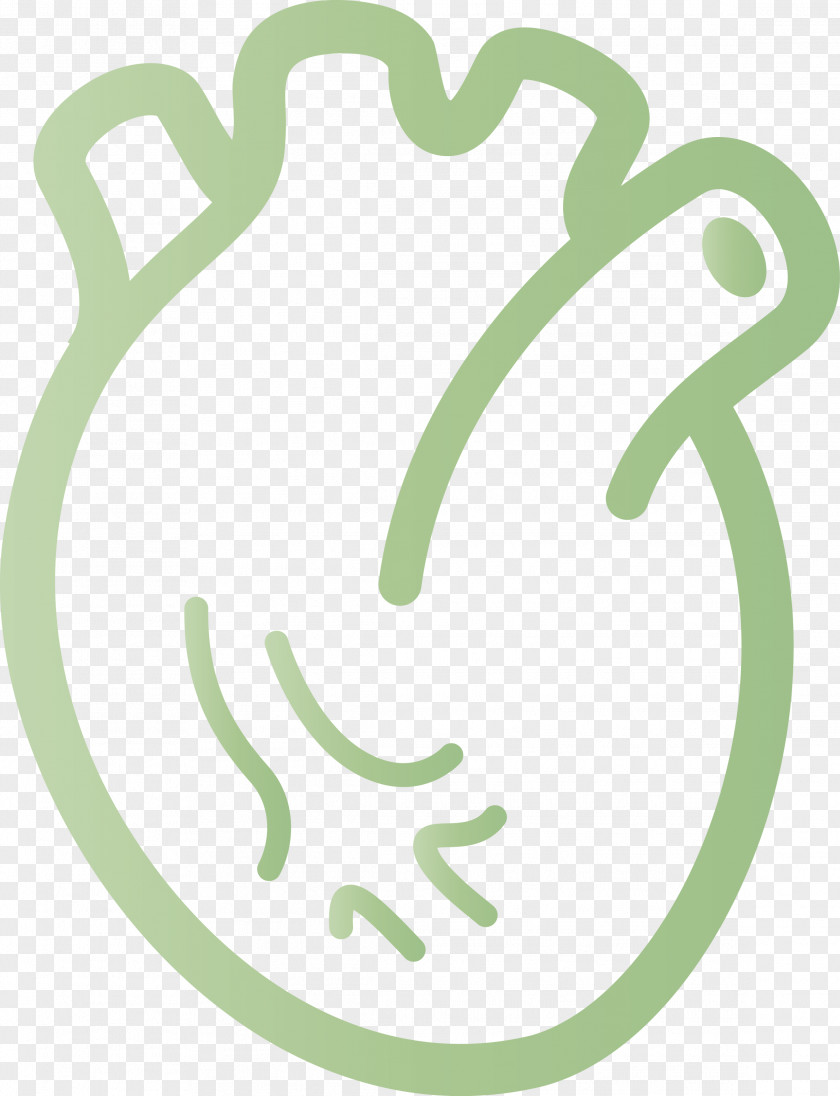 Heart Organ PNG