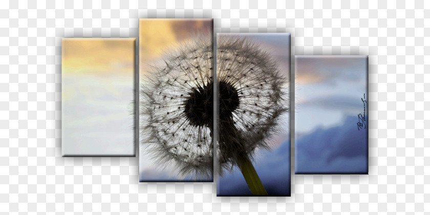 Kind Garten Image Canvas Drawing Picture Frames Taraxacum Sect. Ruderalia PNG