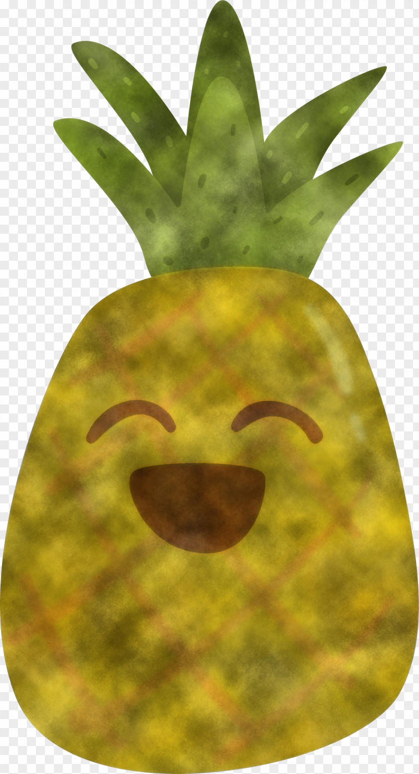 Poales Headgear Pineapple PNG