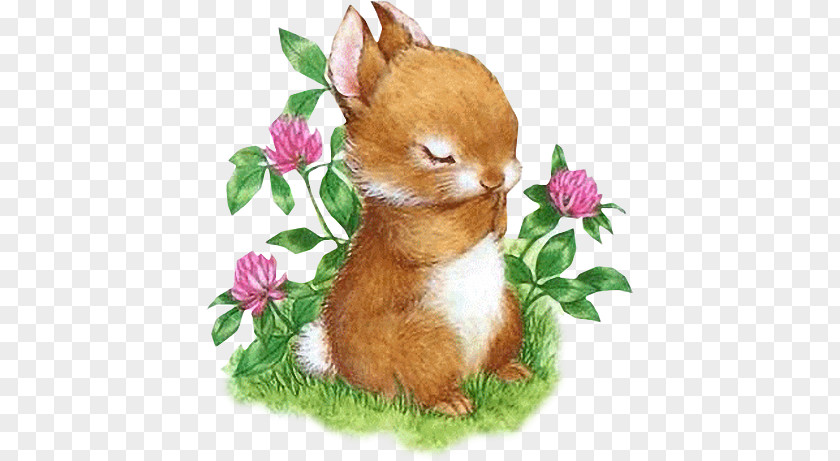 Rabbit Easter Bunny European Hare Becky PNG
