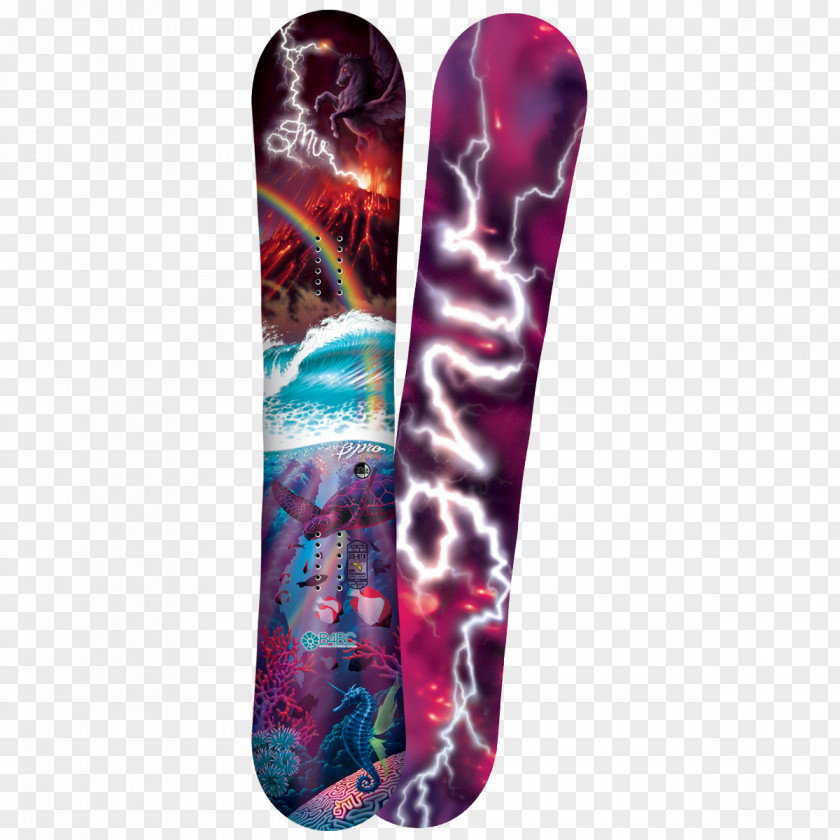 Snowboard Female GNU Barrett Christy Jamie Anderson PNG