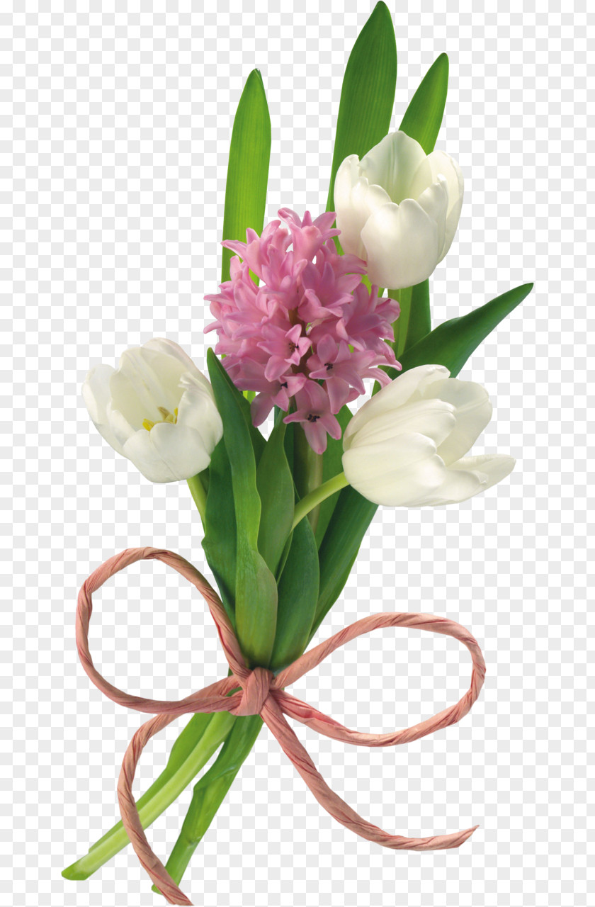 Spring Flowers Desktop Wallpaper Tulip Flower Clip Art PNG