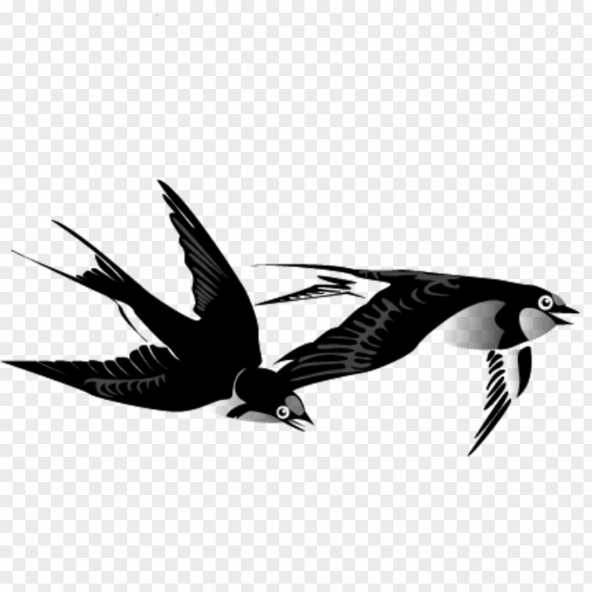 Swallow Bird Ink Wash Painting Chinese PNG