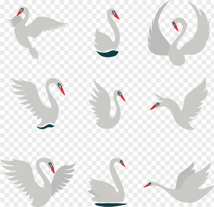 Swan Vector Material Cygnini Euclidean Clip Art PNG