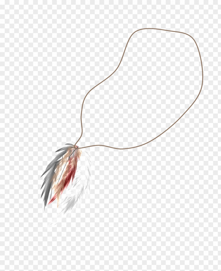 Blackish Green Feather PNG