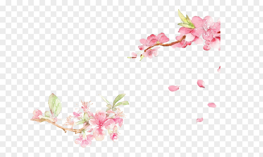 Collection Background Image Painting Illustration Spring PNG