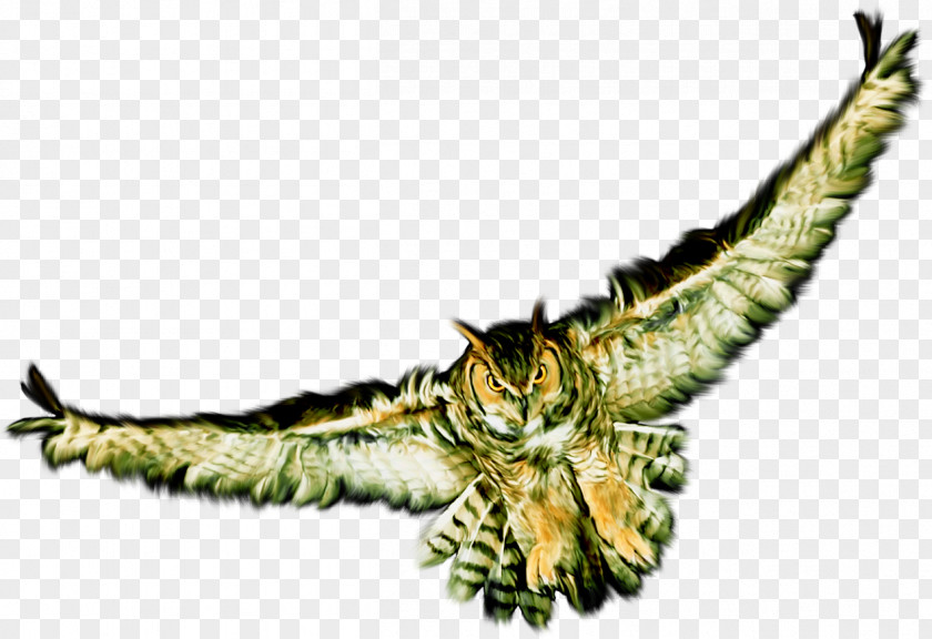Eagle Bird Clip Art PNG