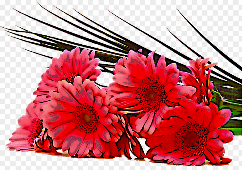 Floral Design PNG