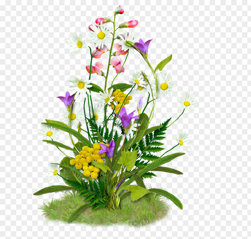 Flower Image Spring GIF PNG