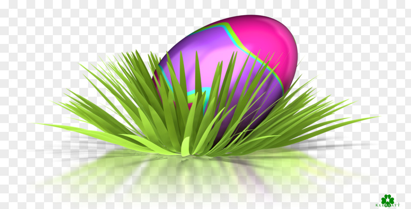 Frohe Ostern Green Desktop Wallpaper Close-up PNG