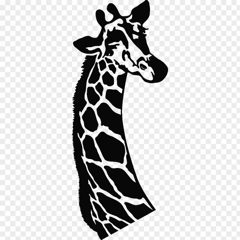 Giraffe Horse White Terrestrial Animal Wildlife PNG