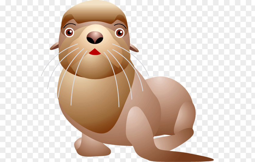 Harbor Seal Whiskers Earless Clip Art PNG