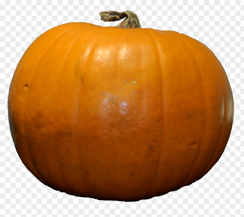 Pumpkin PNG Image Pie Jack-o'-lantern Zucchini PNG