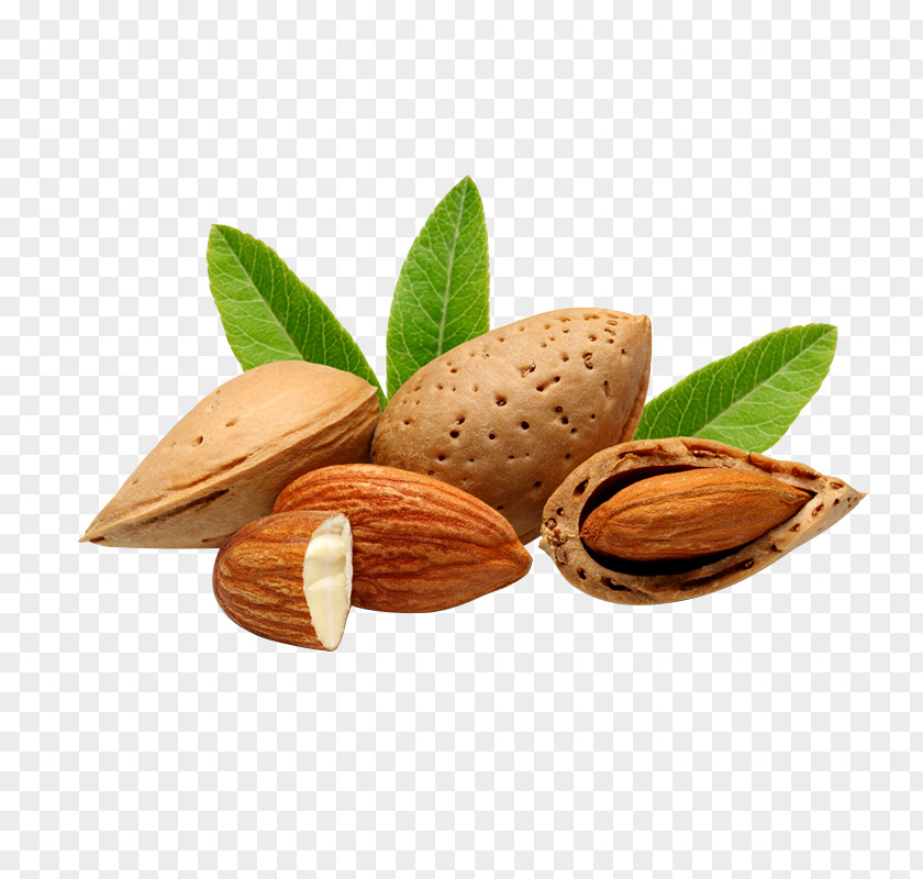 Walnut Bajaj Almond Drops Hair Oil Nut Food PNG