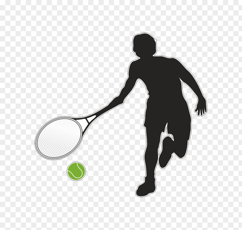 Basketball Tennis Balls Sports PNG