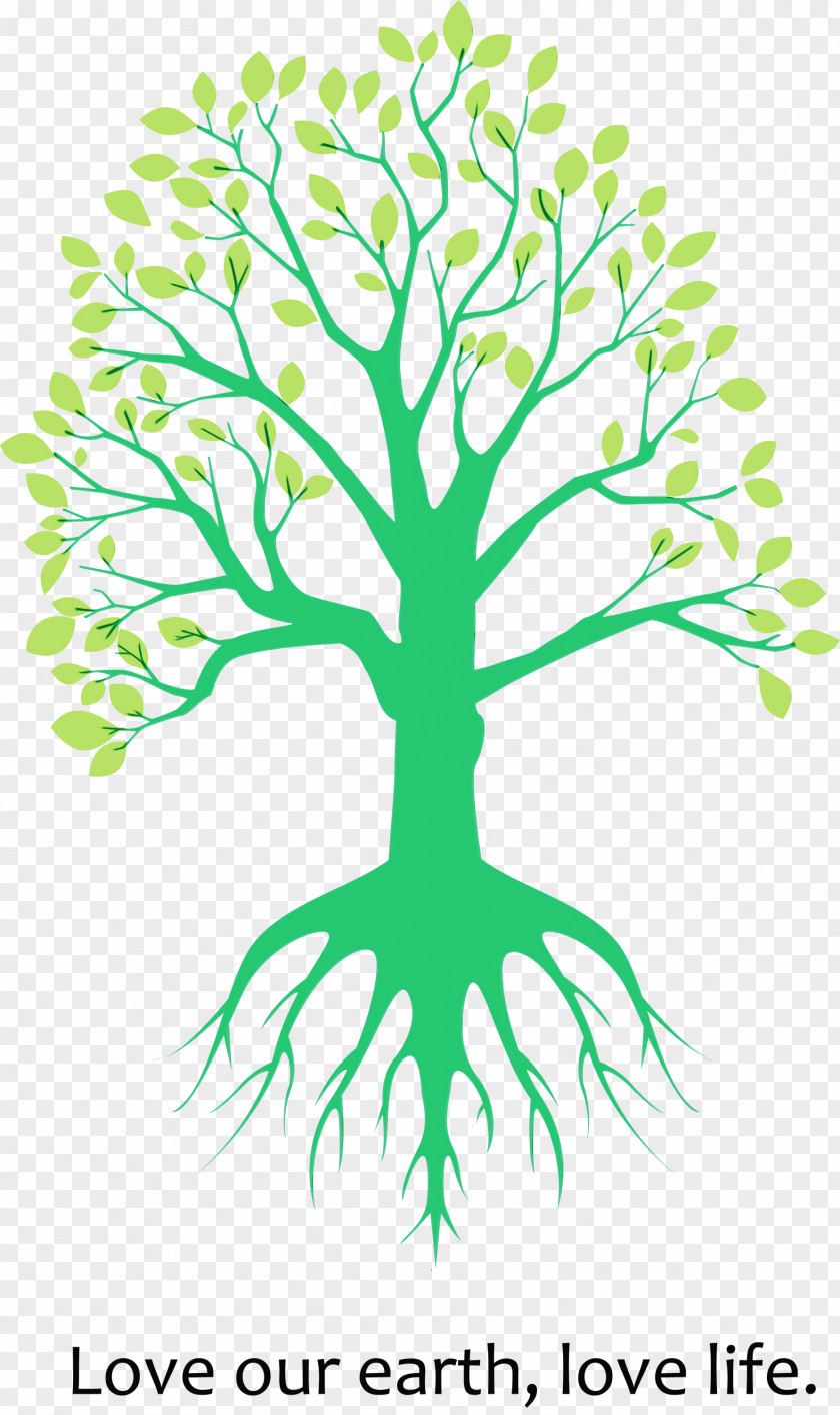Green Root Leaf Plant Tree PNG