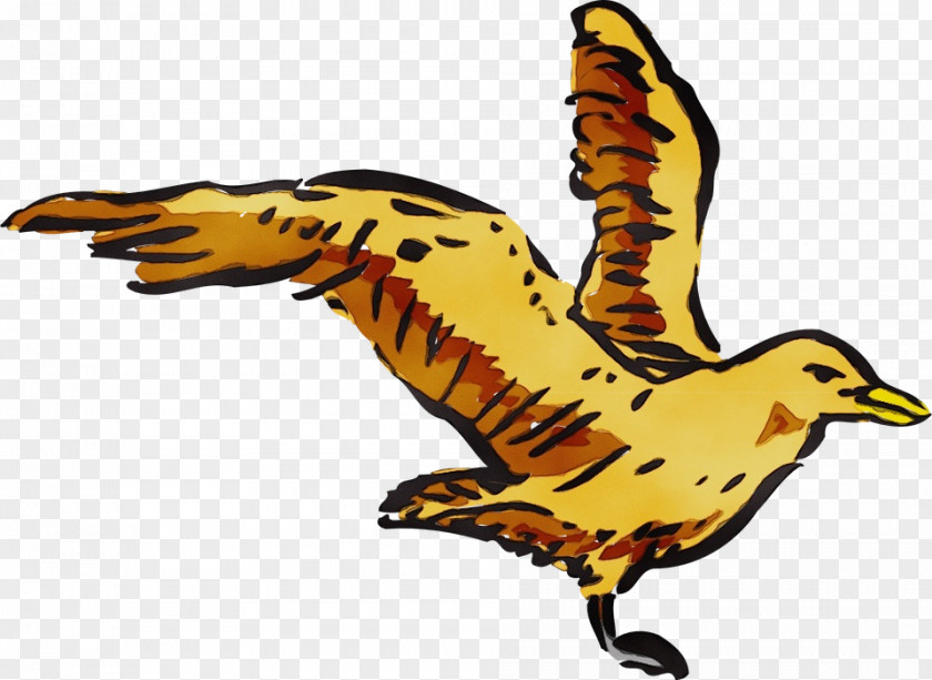 Peregrine Falcon Animal Figure Bird Clip Art Beak Yellow Wing PNG