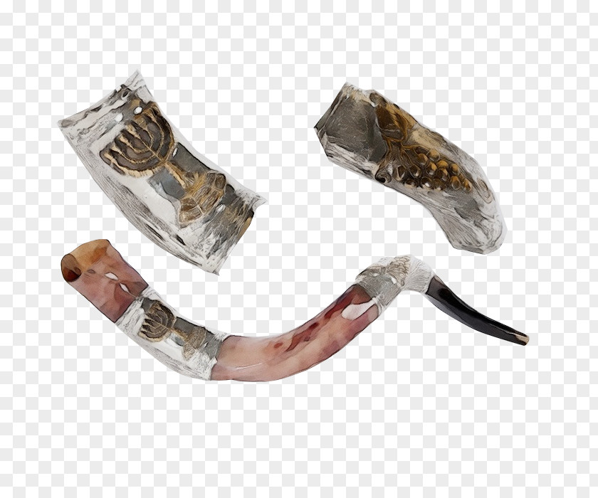 Shoe PNG