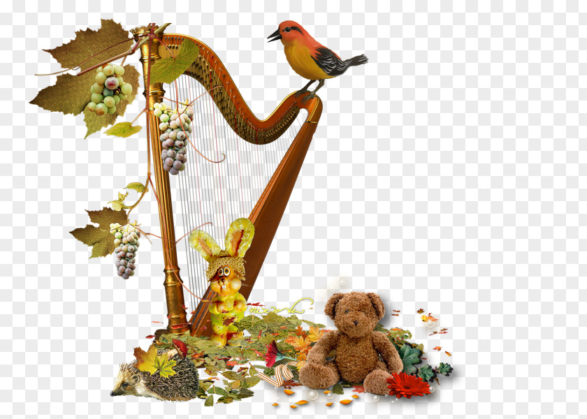 Harp Plucked String Instrument Instruments Musical PNG