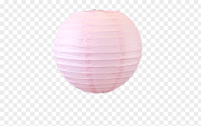 Rosa 'souvenir De La Malmaison' Paper Lantern Sky Pink PNG