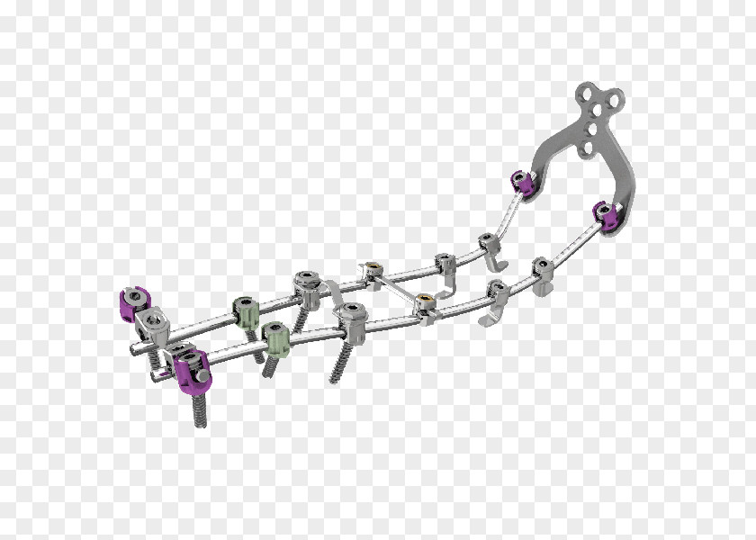 Thoracic Vertebral Column Vertebrae Surgery Stryker Corporation Spinal Cord PNG